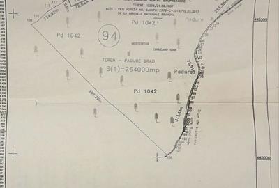 Teren de 15000 mp, în Cioplea - 1