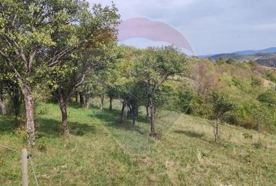 Teren de 3082 mp, în Damiș - 5