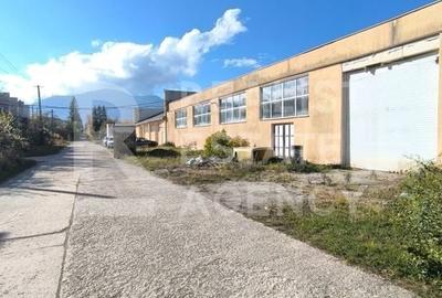 Hală de vânzare – Parcul Industrial Tohanul Vechi, Zărnești - 1