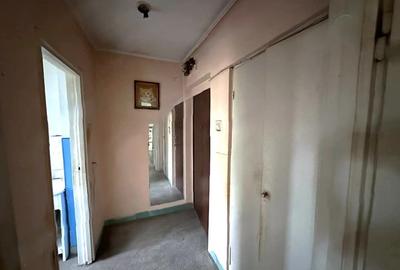 Titan Potcoava- parc Brancusi - 5