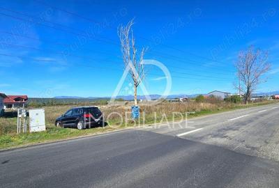 Teren în Narciselor - 6