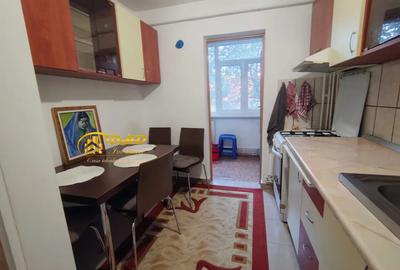 Apartament 1 camera, spatios, 35 mp, NICOLINA - 2