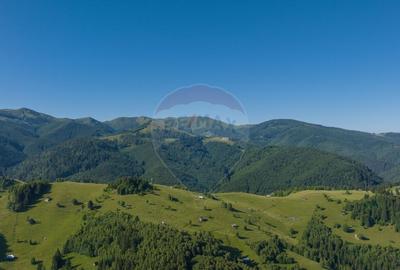 Casa de vacanta, in inima naturii, comision zero pt cump... - 6