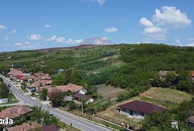 Casă cu 4 camere cu Teren 1109 Mp în Bonț - 15