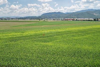 Teren intravilan - 17