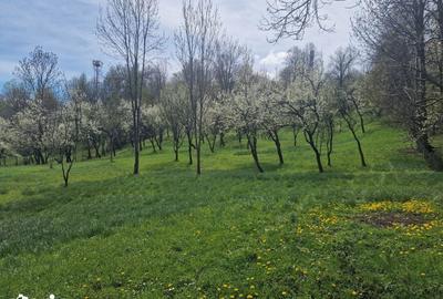 Teren de 12000 mp, în Ghioșești - 14