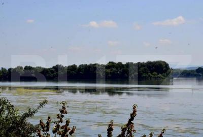 Teren, 120000mp, Insula Calinovat, Moldova Noua - 10