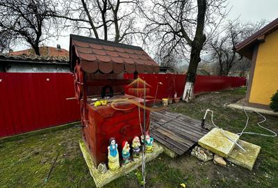 Casă individuală cu 3 camere cu Canalizare în Gheorghe Doja - 11