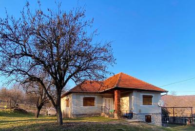 Casă cu 4 camere în Ciucea - 8