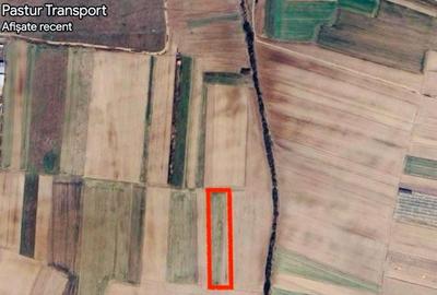 Teren agricol extravilan de 4634 mp, în Nojorid - 2