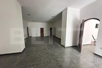 Spatiu comercial, 293 mp/129 mp, zona ultracentrala cu Vad - 11