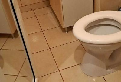 Apartament cu 2 camere decomandat în Radu Negru - 6