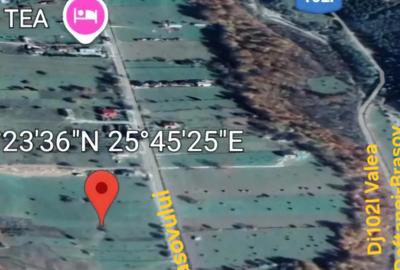 Teren de 3465 mp, în Trăisteni - 10