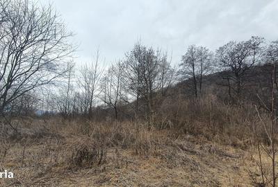 Teren de 2800 mp, în Sovata - 17