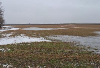 Spațiu comercial, în Zvoriștea - 7