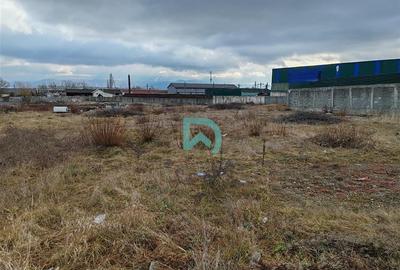 Vanzare teren intravilan, Codlea, Brasov - 5