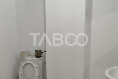 Spatiu comercial de inchiriat in Sebes zona centrala - 6
