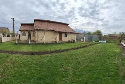 Casă cu 3 camere în Stâlpu - 17