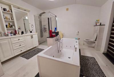 Vanzare proprietate - casa si terenValea Voievozilor Dambovita - 11