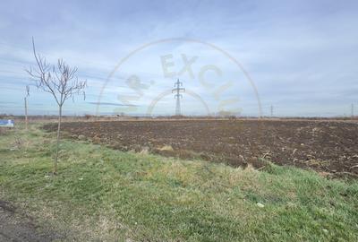 Teren Intravilan Industrial 13.164 mp, Zona Constantin Mille-Carei-Comision 0% - 3