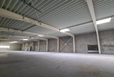 Hala productie Timisoara,  4800 mp,  Exterior Nord - 3