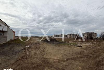 Spațiu comercial, în Buziașului