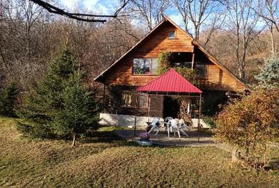 Proprietate deosebita,pe malul Teleajenului, de vanzare