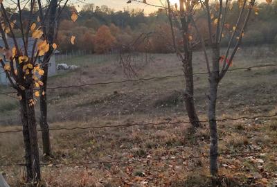 Spațiu comercial, în Hârsa - 1