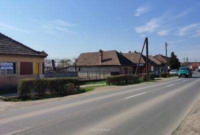 Sancraiu de Mures - 1617 mp - Principala - front 20 metri - 2