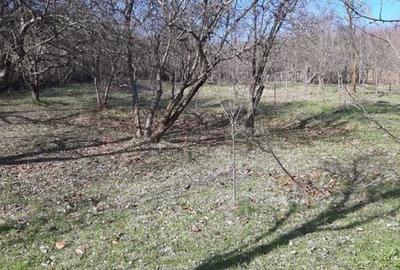 Casă cu 4 camere cu Teren 80 Mp în Vâlcănești - 5