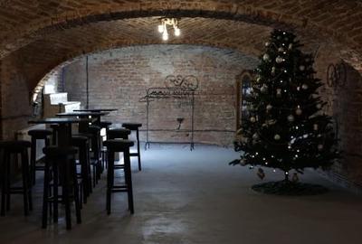 Închiriez demisol în Arad - 2