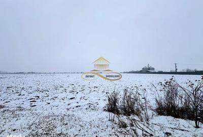 Teren de 4579 mp, în Săucești