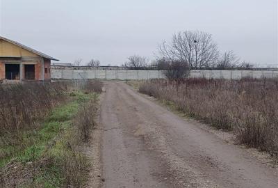 Vanzare Teren Corbeanca- Strada Trei Lacuri - 9