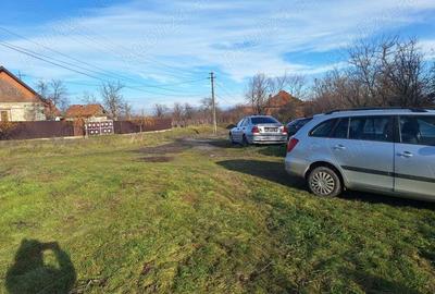 Casa de vanzare,Sacosu mare,6000m2,acte la zi,zona foarte linistita - 2