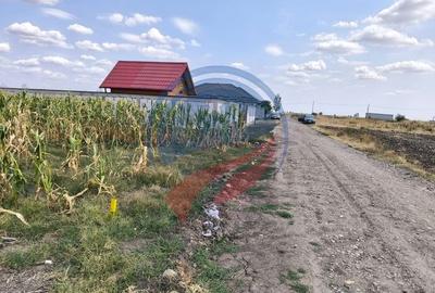 Teren intravilan de vanzare in Pielesti - 7