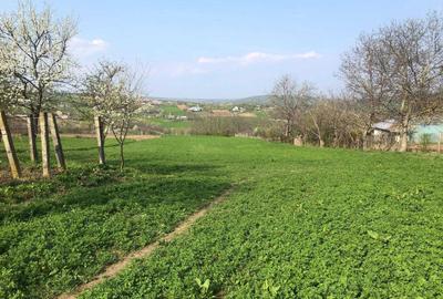 Teren de 3900 mp, în Exterior Vest - 2