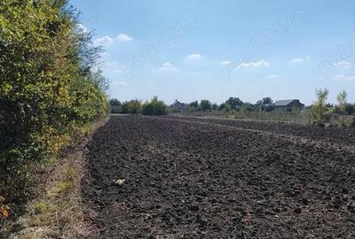 Teren de 3050 mp, în Ordoreanu - 3