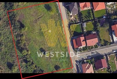 Teren de vanzare calea Lugojului Teren de vanzare calea Lugojului - 4