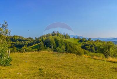 Teren de 6014 mp, în Holbav - 2