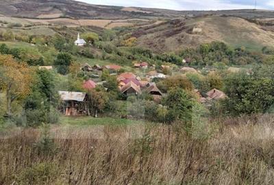 Casa de vanzare, 3 camere, 4663 mp teren, CF, Sat Barai - 21