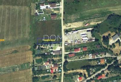 Vanzare loturi teren intravilan, situate in cartier Preajba, str. Frasinetului - 6