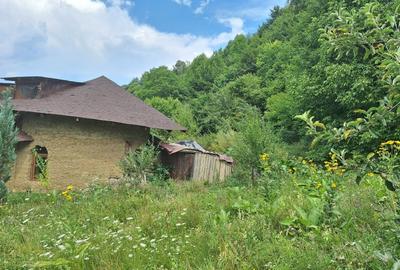 VANZARE ANSAMBLU CASUTE BRADULET ARGES - 13