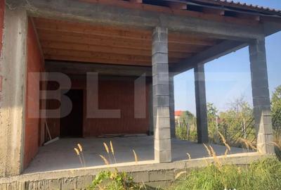 Casă cu 4 camere cu Teren 1657 Mp în Viile Satu Mare - 3