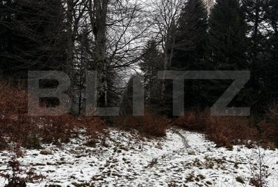 Teren unic, exclusivist  4000 mp, in inima muntilor, Sinaia - 2