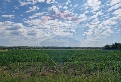 De vanzare teren 10.001 mp sat Oniscani, comuna Filipesti - 5