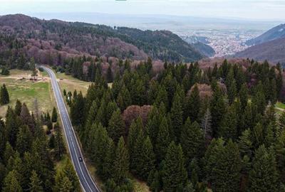 Teren intravilan de 1000 mp, în Poiana Brașov - 24