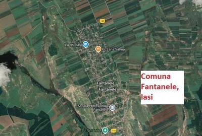 Teren de 10000 mp, în Fântânele