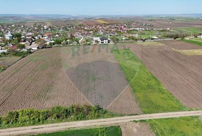 Teren Construcții intravilan de 2316 mp, în Bălțați - 3