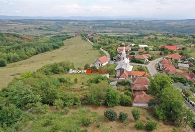 O oportunitate rara in mijlocul naturii teren generos... - 2