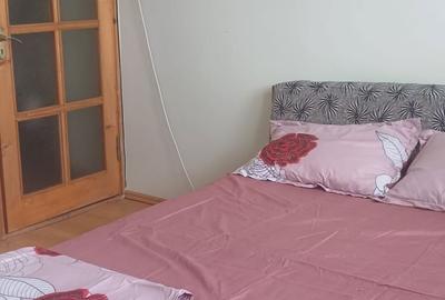 Apartament cu 2 camere decomandat în Sârbi - 11